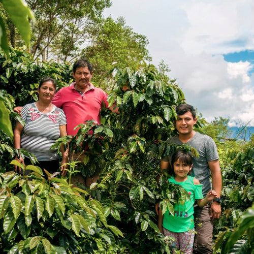 Penelope coffee farmers